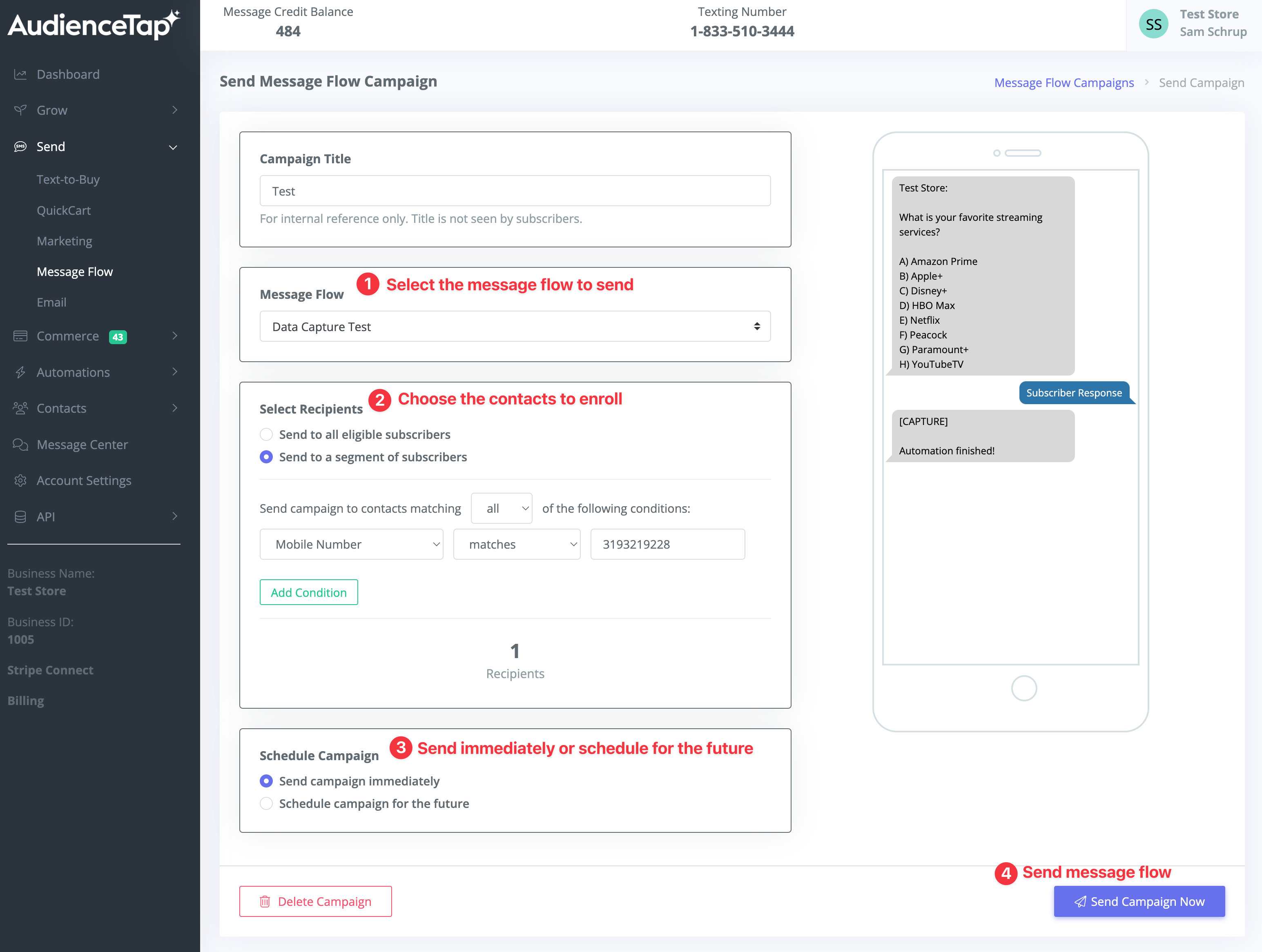 Data capture strategy options in message flows