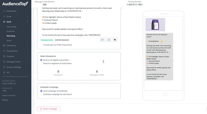 Selecting audience and scheduling a marketing campaign